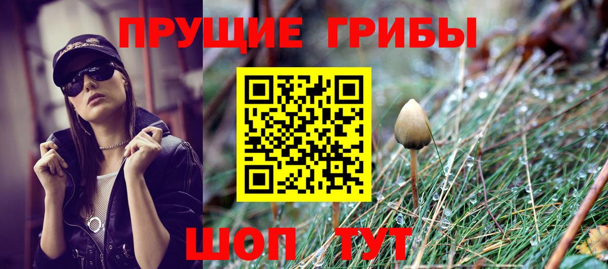 Псилоцибиновые грибы Psilocybe  Вход с VPN  продажа наркотиков  Новокуйбышевск 