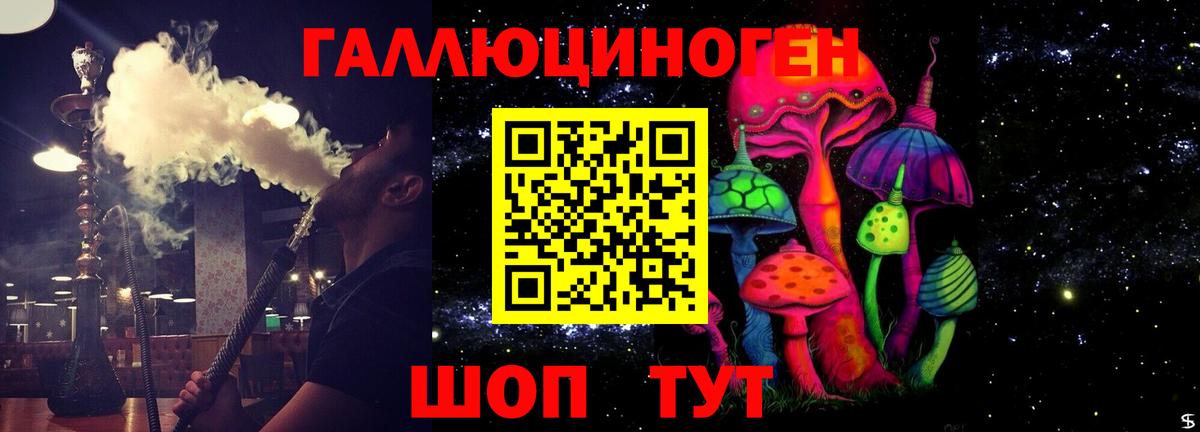 Галлюциногенные грибы Cubensis Новокуйбышевск